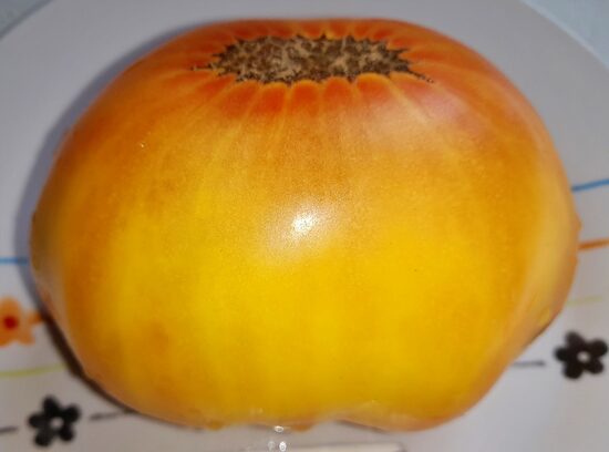 Янтарный Блюз